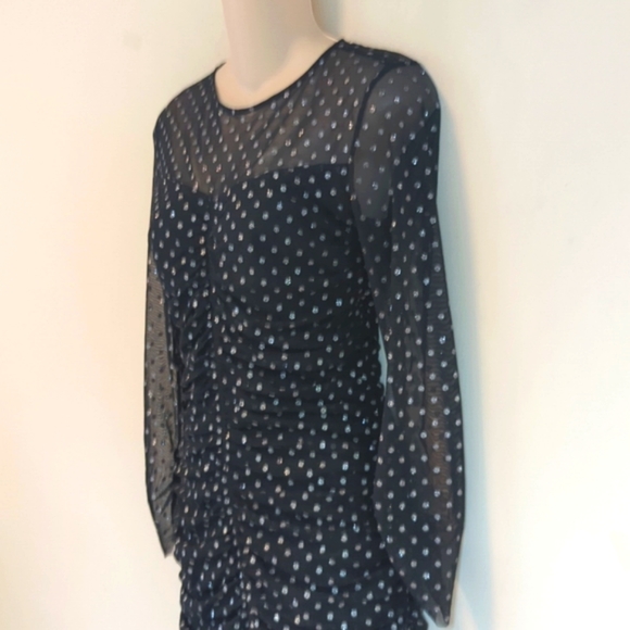 Zara Tulle Silver Dot Swiss Dress - Picture 7 of 16